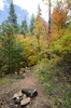 photo thumbnail #8