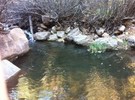 photo thumbnail #1