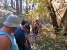photo thumbnail #5