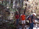 photo thumbnail #10
