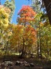 photo thumbnail #11
