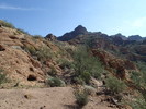 photo thumbnail #11