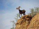 photo thumbnail #15