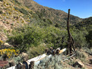 photo thumbnail #13