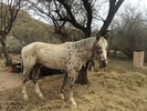 photo thumbnail #5