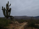 photo thumbnail #8