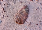 photo thumbnail #13