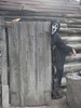 photo thumbnail #4