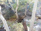 Featured Full Photo