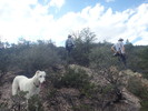 photo thumbnail #9