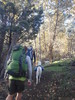 photo thumbnail #1