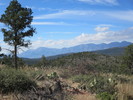 photo thumbnail #1