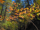 photo thumbnail #12