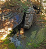 photo thumbnail #13