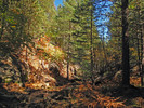 2014-09-29 :1: West Bear Cyn Alternate - FR 398 LOOP :: Grasshopper