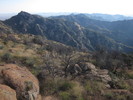 photo thumbnail #8
