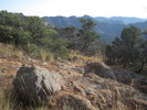photo thumbnail #12