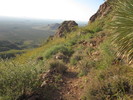 photo thumbnail #13