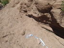 photo thumbnail #8