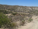 photo thumbnail #9