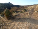 photo thumbnail #12