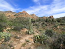photo thumbnail #5