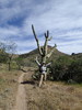photo thumbnail #7