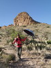photo thumbnail #8