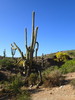 photo thumbnail #4
