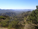 photo thumbnail #11