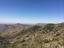 photo thumbnail #12
