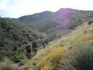 photo thumbnail #6