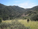 photo thumbnail #14