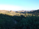 photo thumbnail #4
