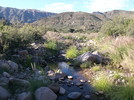 photo thumbnail #5