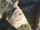 photo thumbnail #8