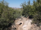 photo thumbnail #9