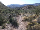 photo thumbnail #12