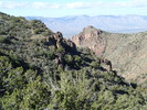 photo thumbnail #9