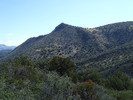 photo thumbnail #11