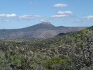photo thumbnail #14