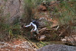 photo thumbnail #3