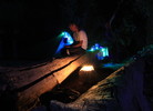 photo thumbnail #12