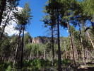 photo thumbnail #2