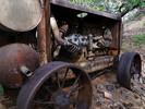photo thumbnail #6