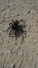 photo thumbnail #6