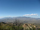 photo thumbnail #12