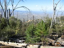 photo thumbnail #14