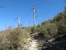 photo thumbnail #15