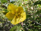 photo thumbnail #15